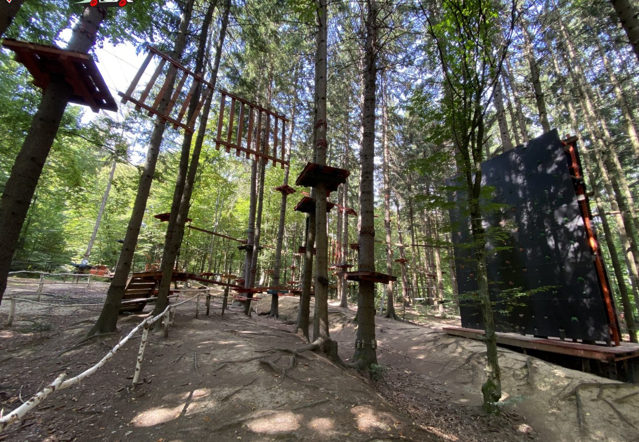 Aventura-Park-Dragus-20